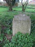 image of grave number 316406